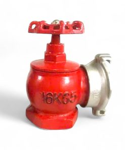 Van chữa cháy DN65